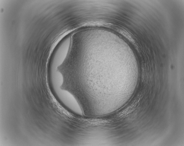 X0000057570984200510071539
