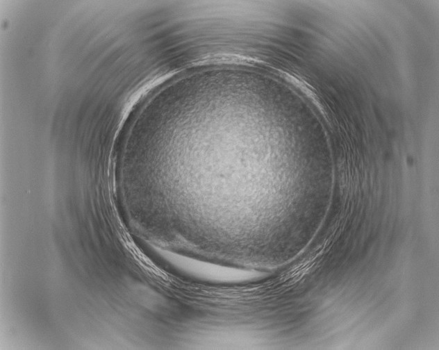 X0000057570987200510071539