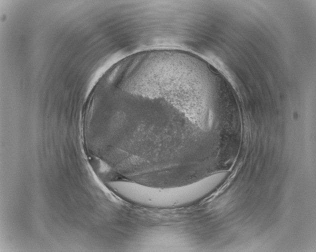 X0000057571006200510071538