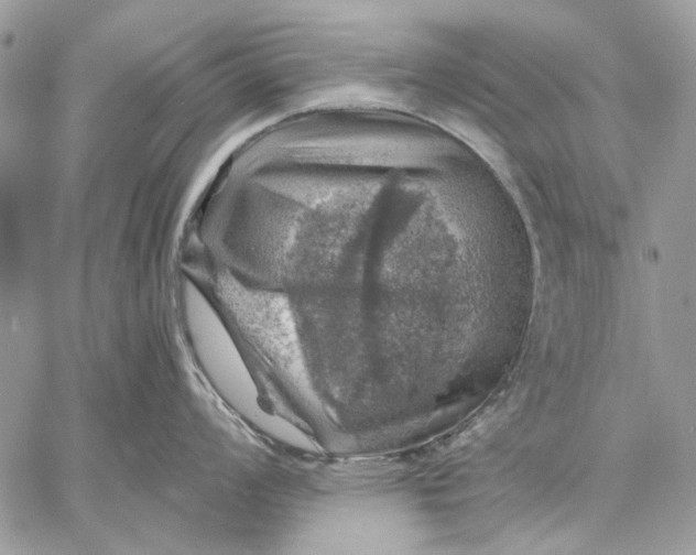 X0000057571008200510071538