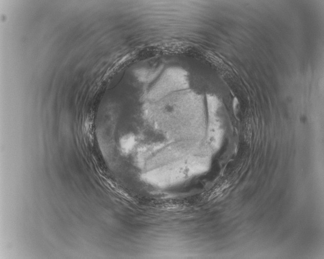 X0000057571010200510071538