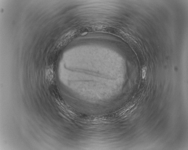 X0000057571011200510071538