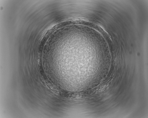 X0000057571016200510071538