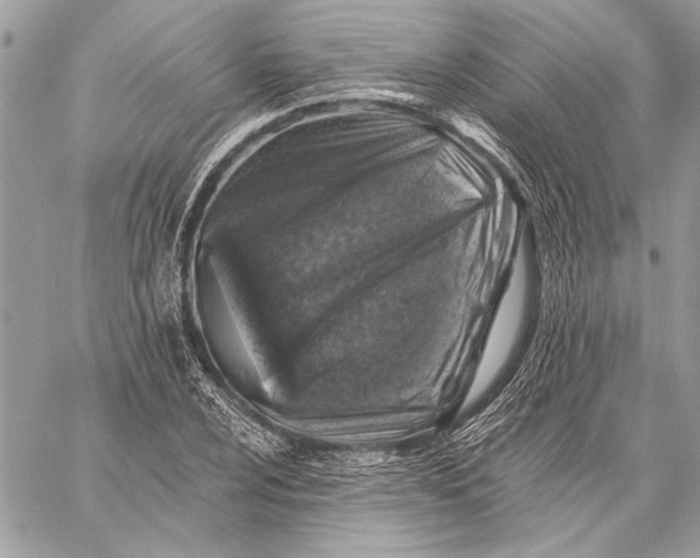 X0000057571024200510071538