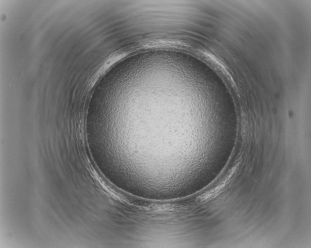 X0000057571041200510071538