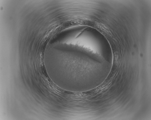 X0000057571060200510071538
