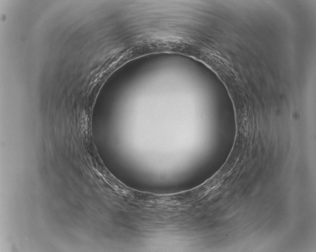X0000057571061200510071538
