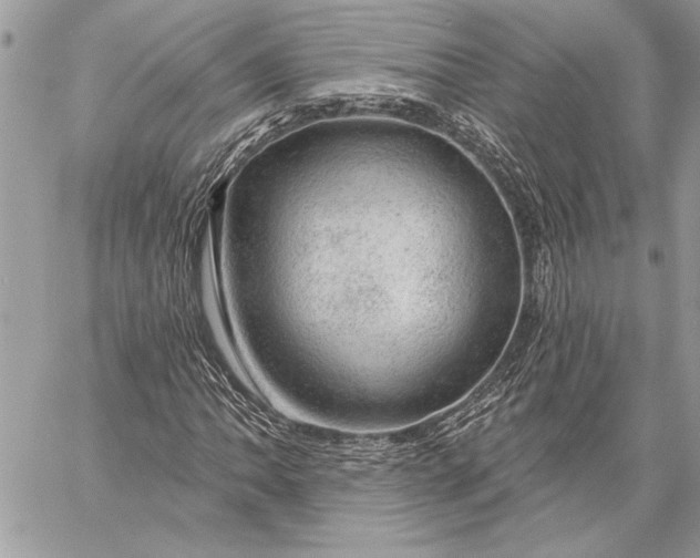 X0000057571062200510071538