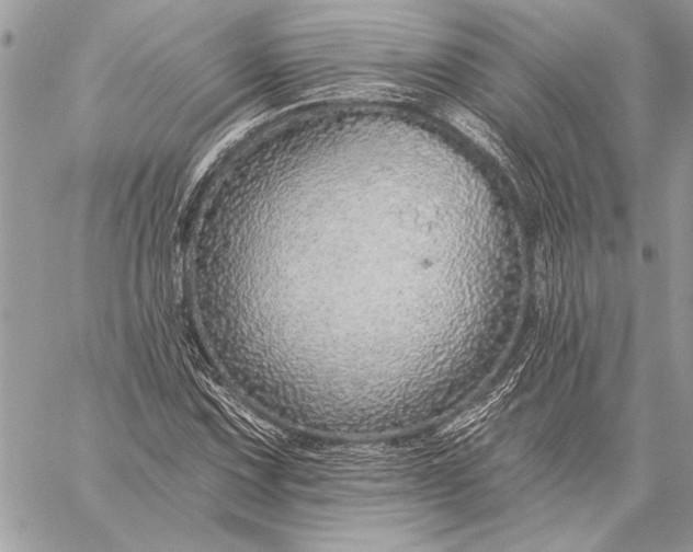 X0000057571067200510071537