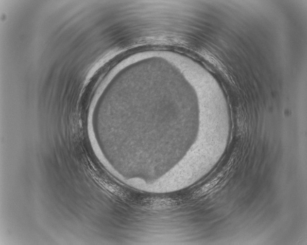 X0000057571070200510071537