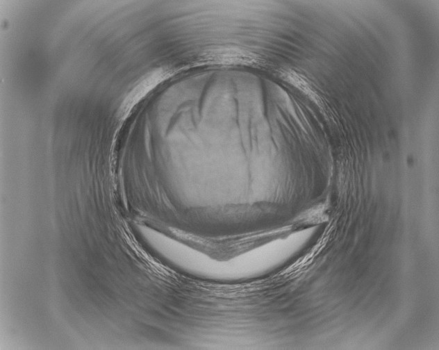 X0000057571071200510071537