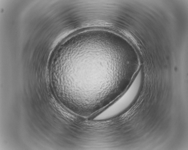 X0000057571072200510071537