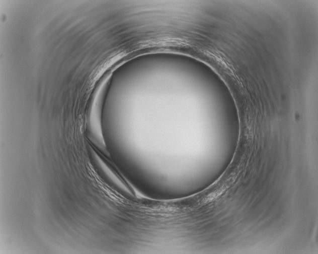 X0000057571073200510071537