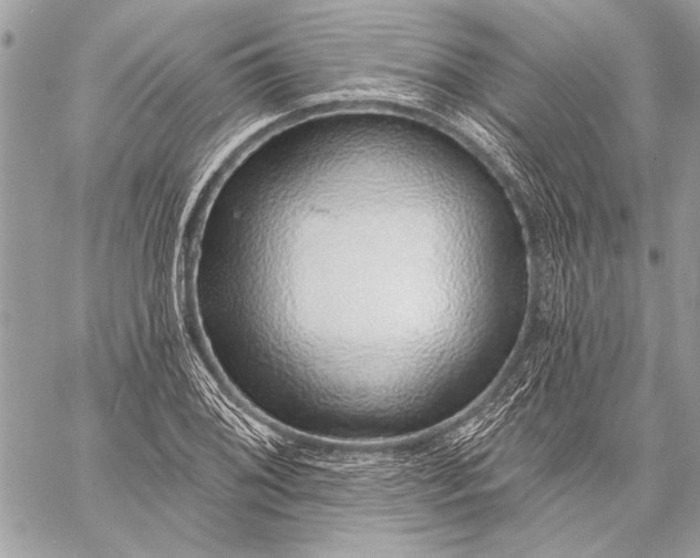 X0000057571076200510071537