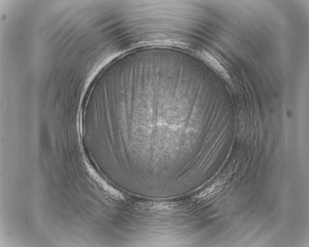 X0000057571084200510071537