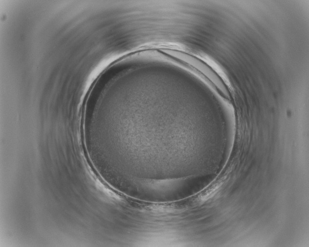 X0000057571102200510071537