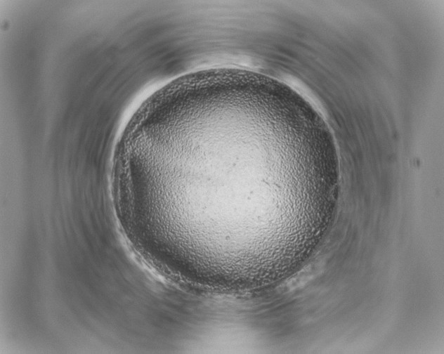 X0000057571104200510071537