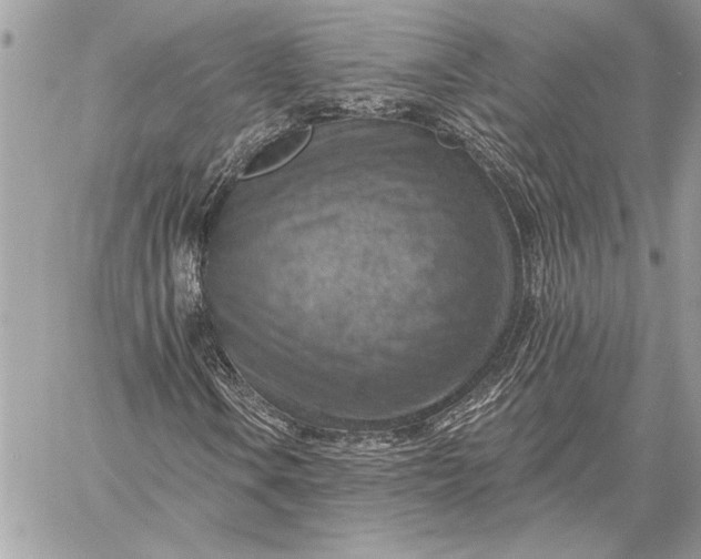 X0000057571106200510071536