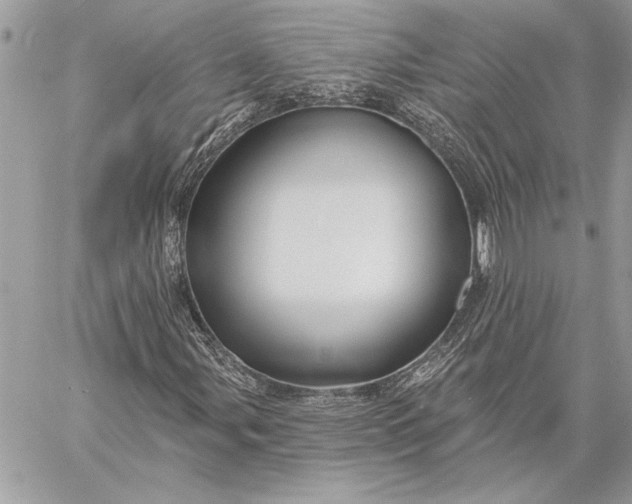 X0000057571107200510071536