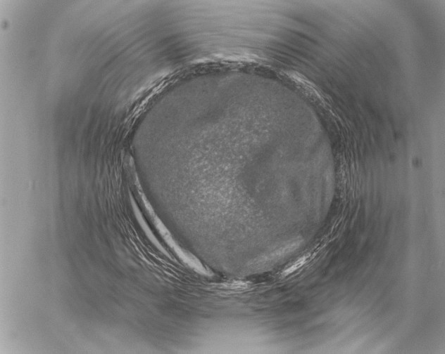 X0000057571110200510071536