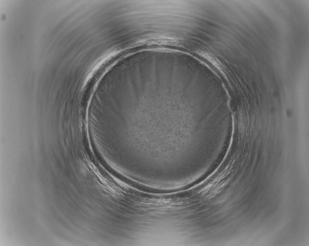 X0000057571115200510071536