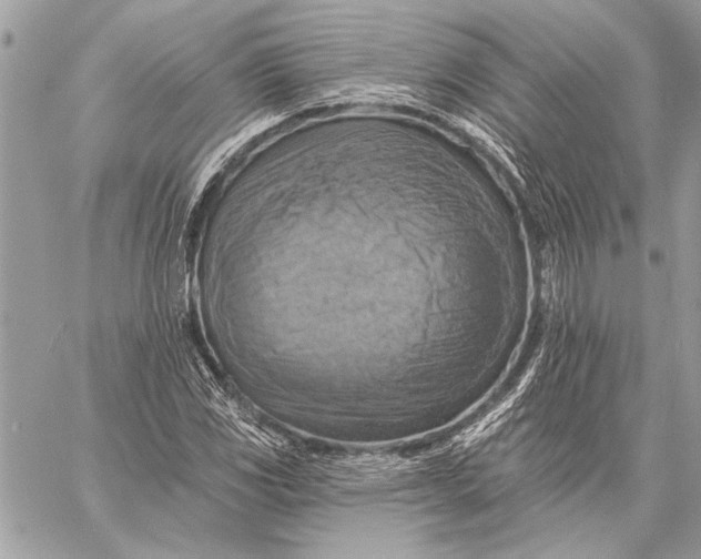X0000057571117200510071536