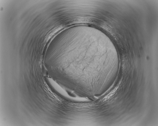 X0000057571121200510071536