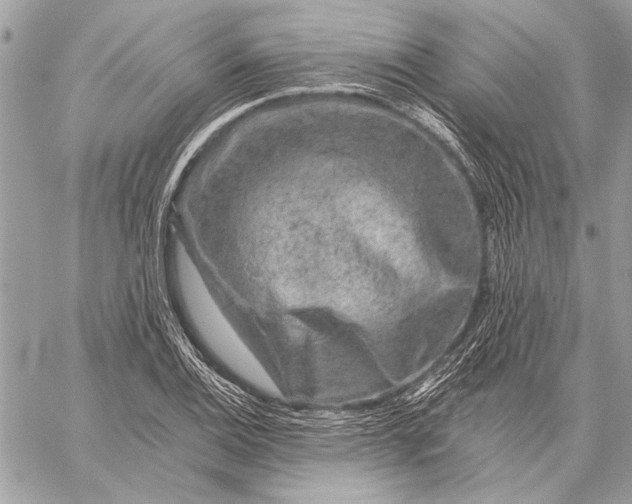 X0000057571124200510071536