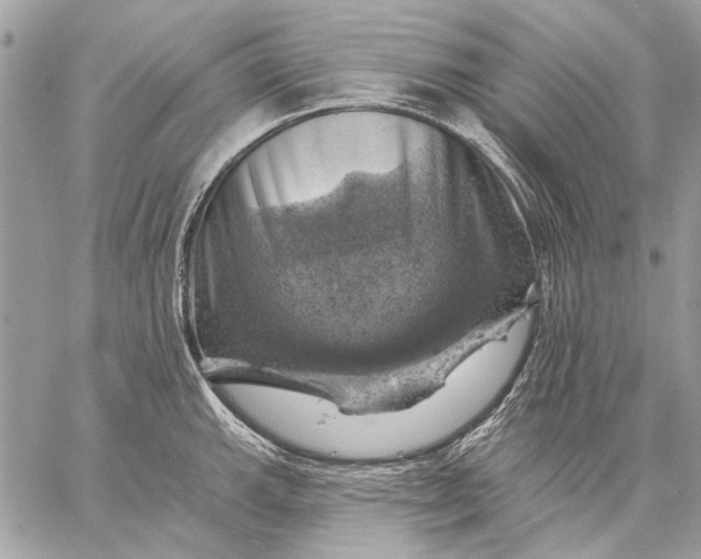 X0000057571143200510071537