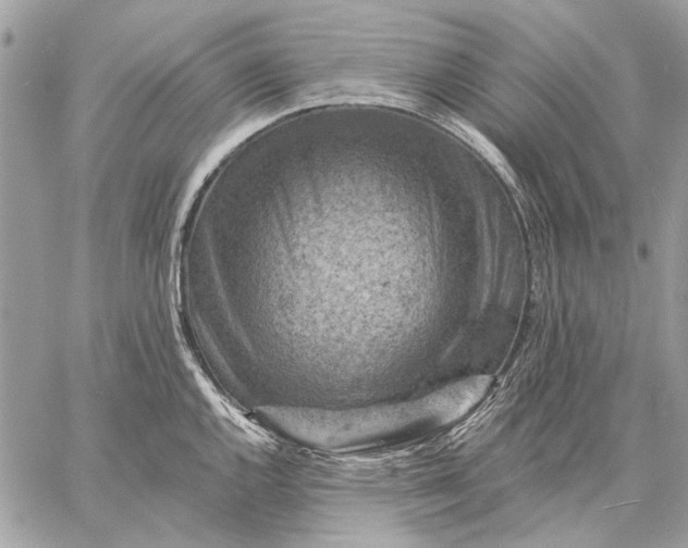 X0000057571144200510071537