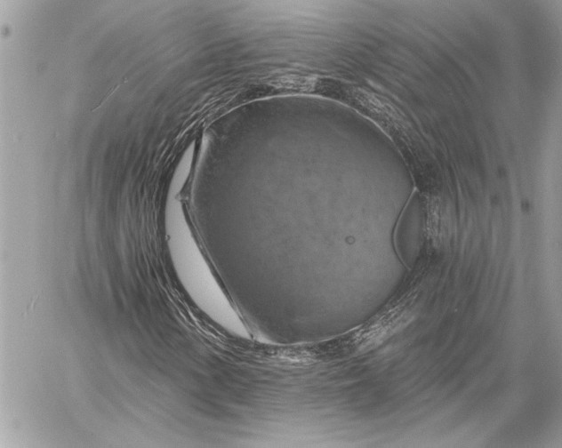 X0000057571154200510071536
