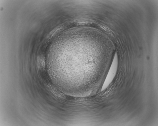 X0000057571155200510071536