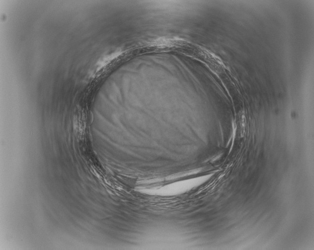 X0000057571158200510071536