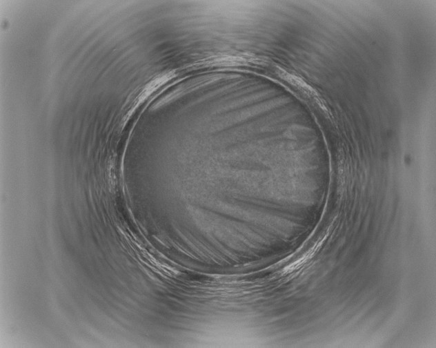 X0000057571170200510071536
