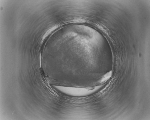 X0000057571171200510071536