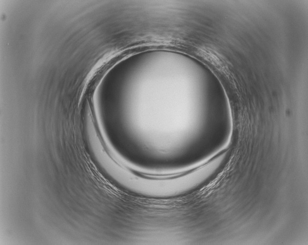 X0000057571172200510071536