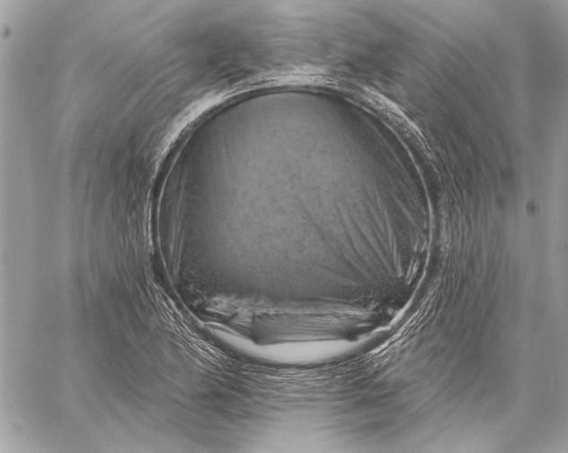 X0000057571174200510071536