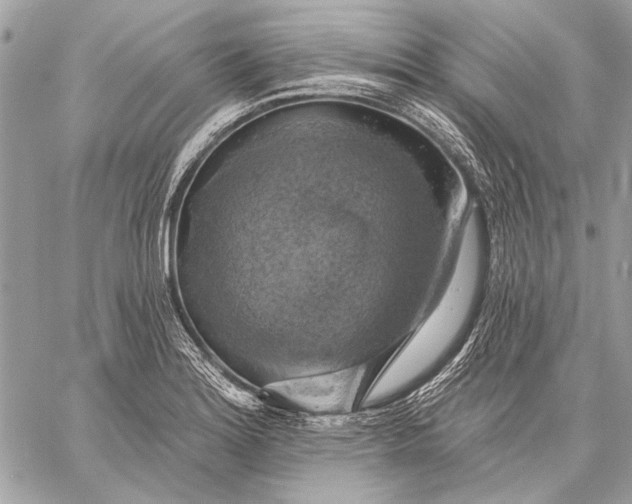 X0000057571180200510071536