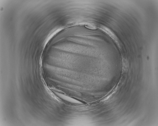 X0000057571198200510071535