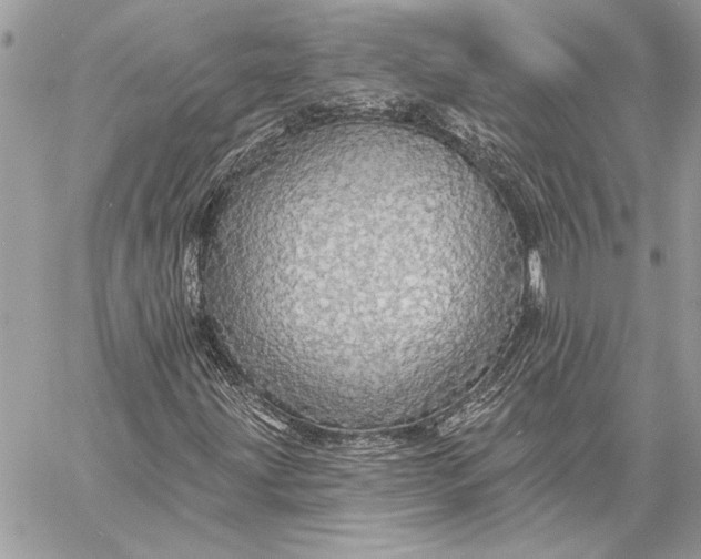 X0000057571203200510071534