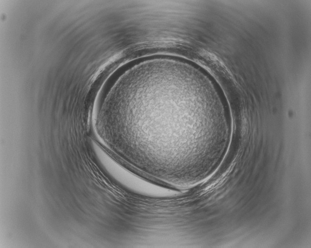 X0000057571210200510071535