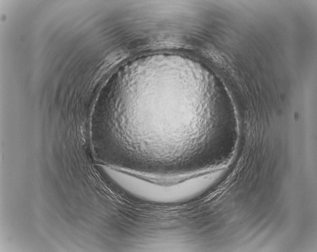 X0000057571217200510071535