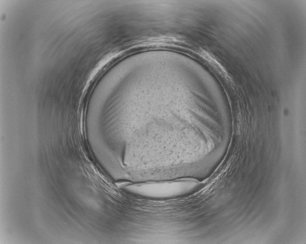 X0000057571224200510071535