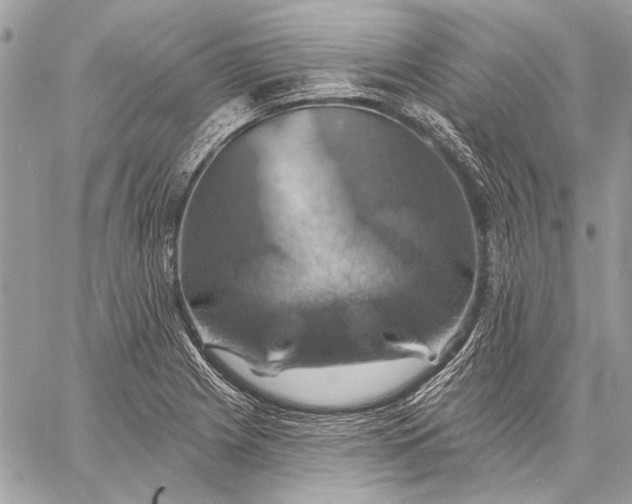 X0000057571225200510071535