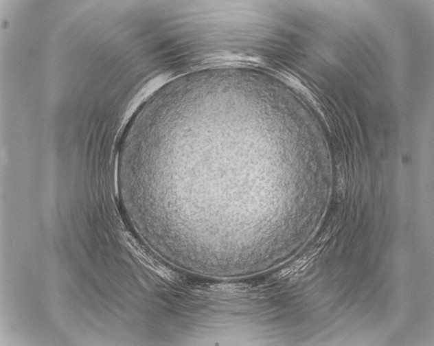 X0000057571227200510071535