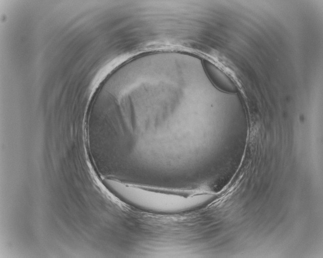 X0000057571239200510071535