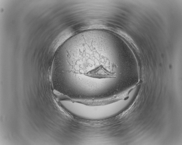 X0000057571241200510071535