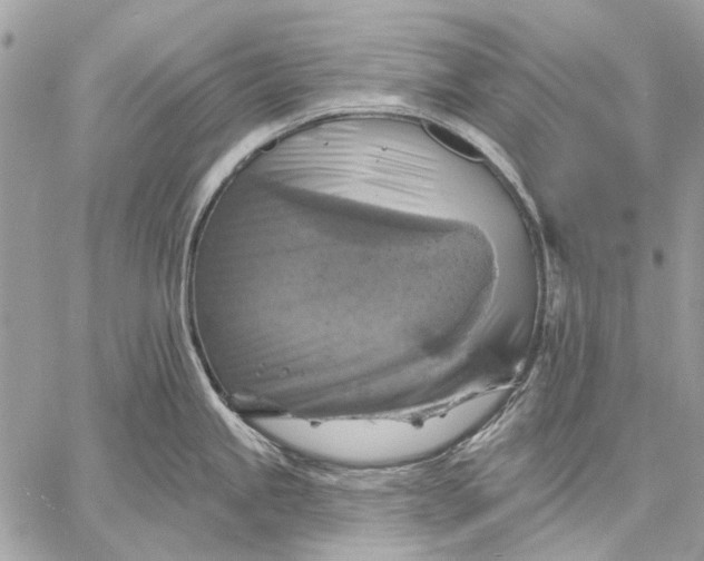 X0000057571245200510071535