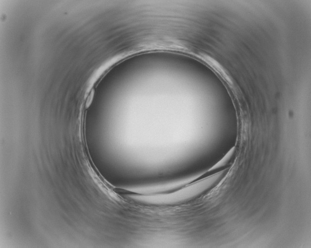 X0000057571246200510071535
