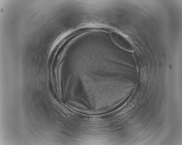 X0000057571319200510071533